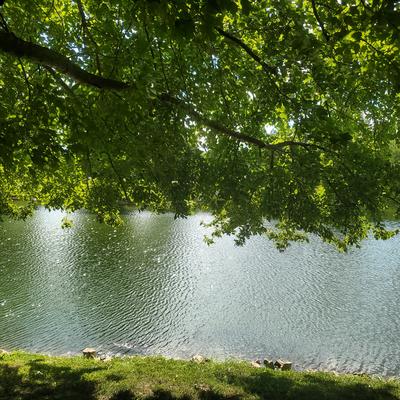 Horner Park Lake