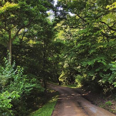 Horner Park Trail